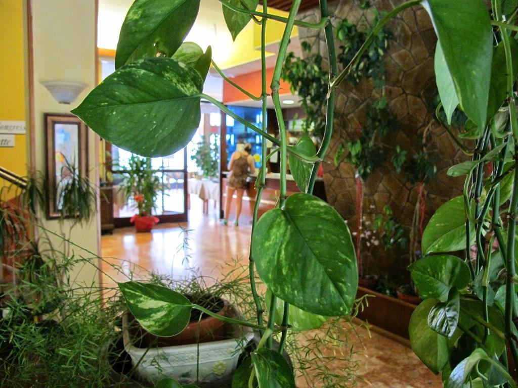 Hotel Capo Noli Esterno foto